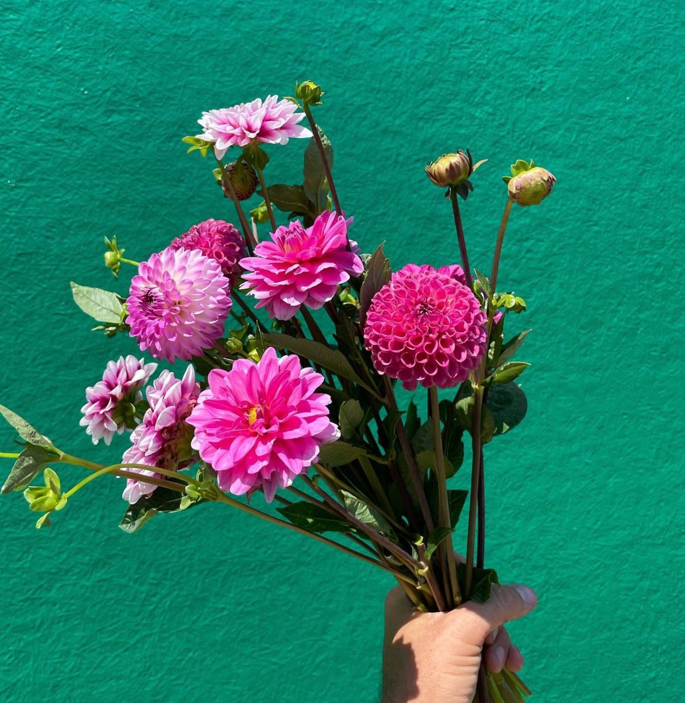 A tied bouquet