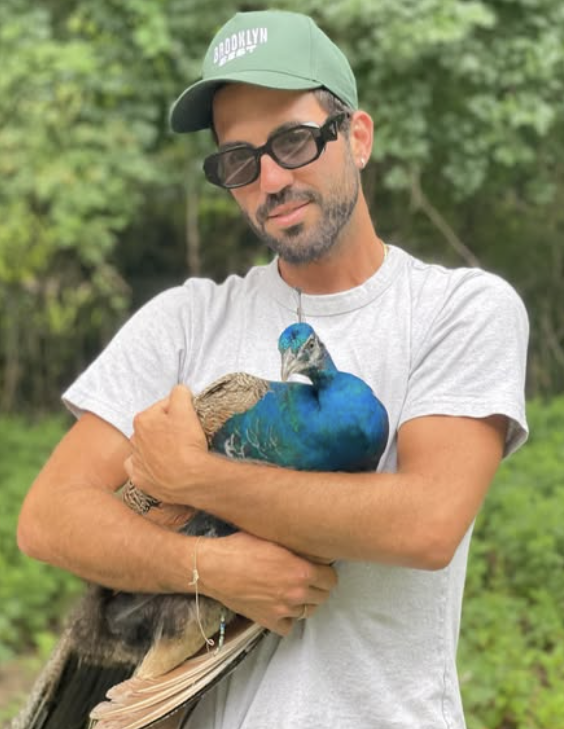 Harry and the peacock