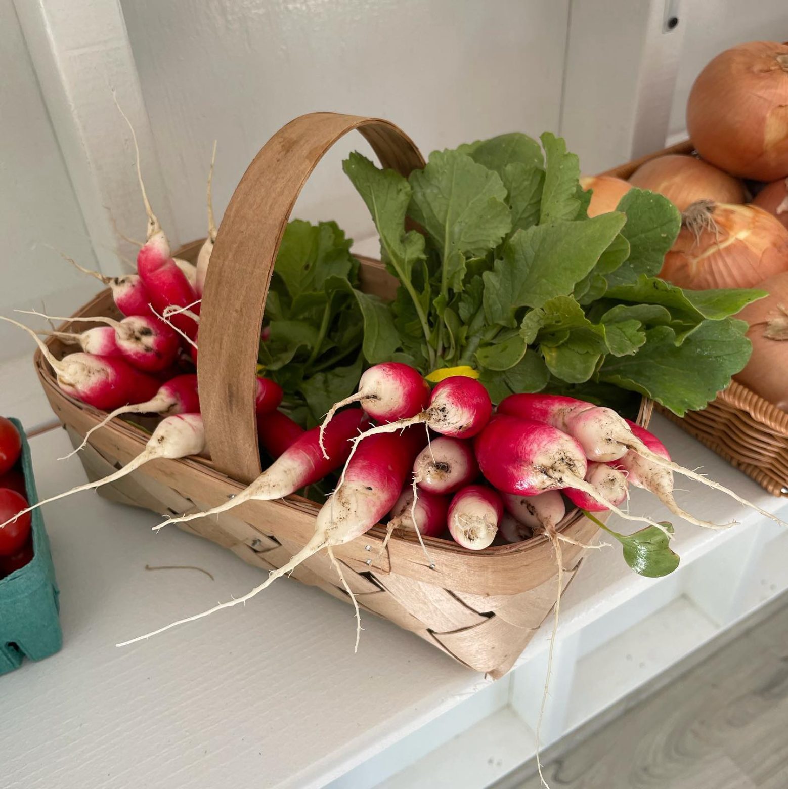 Radishes
