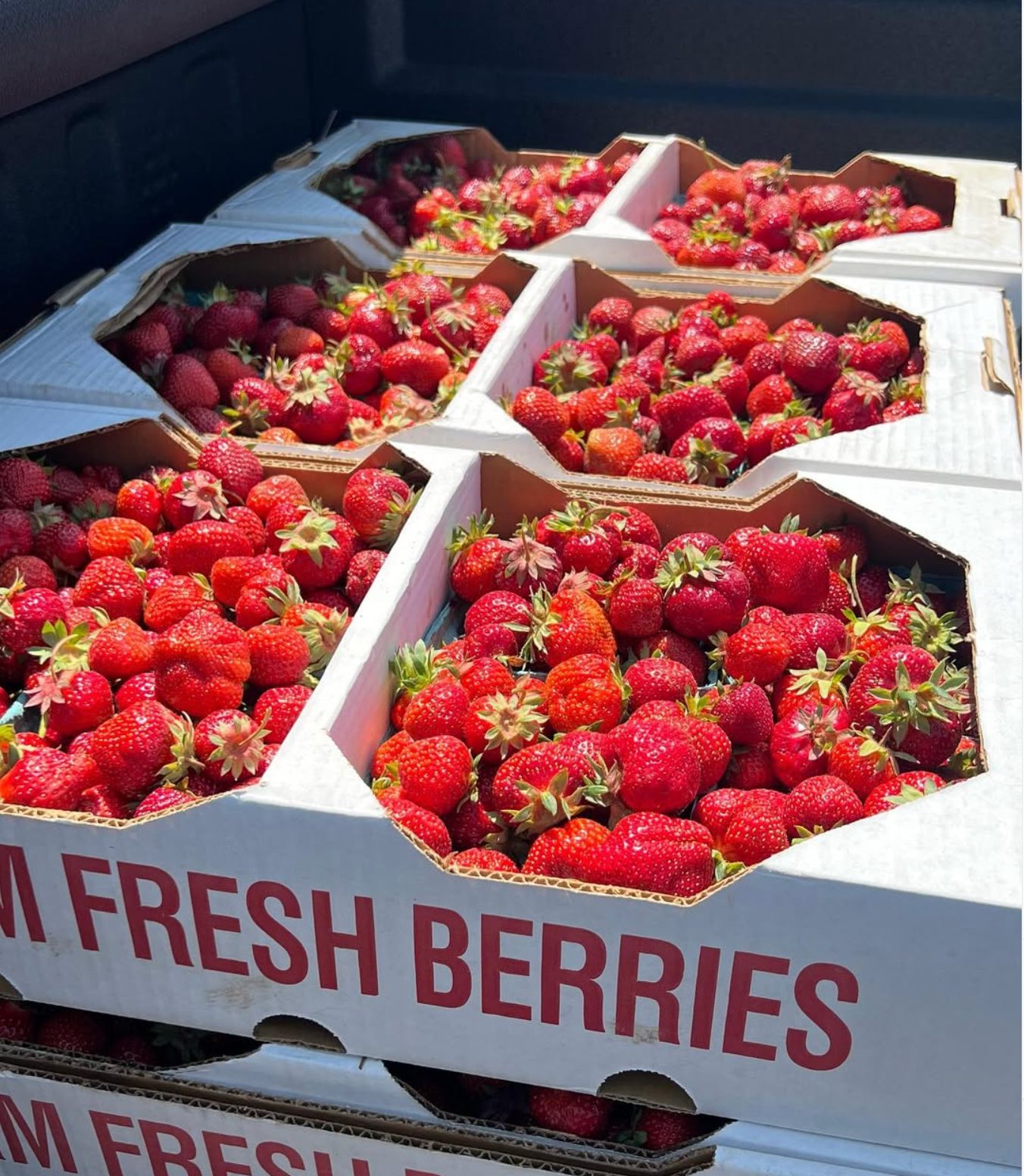 Strawberries